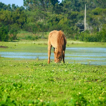 Herdade Monte Do Sol Landsted Aljezur