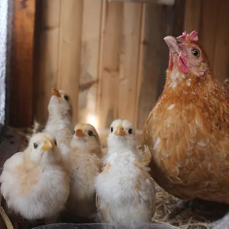 Herdade Monte Do Sol